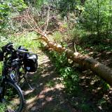 1807G 010 Abkuerzung nicht moeglich